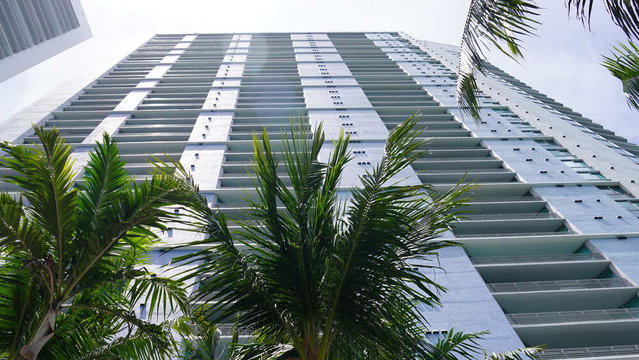 One Miami  photo 3